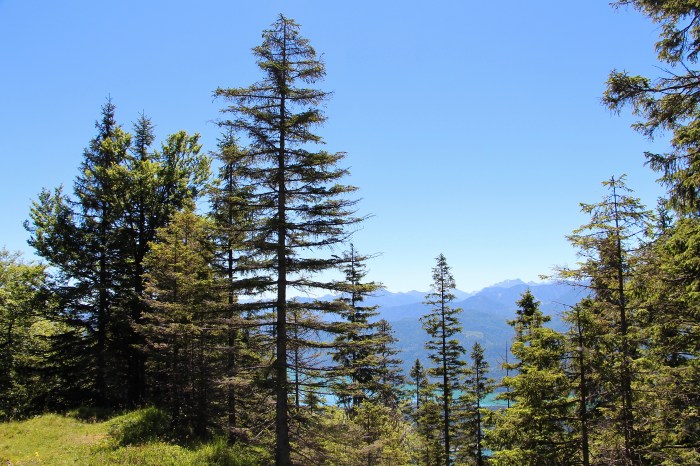 Bavarian Alps, Germany